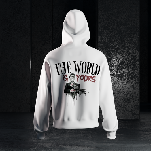SUDADERA THE WORLD IS YOURS
